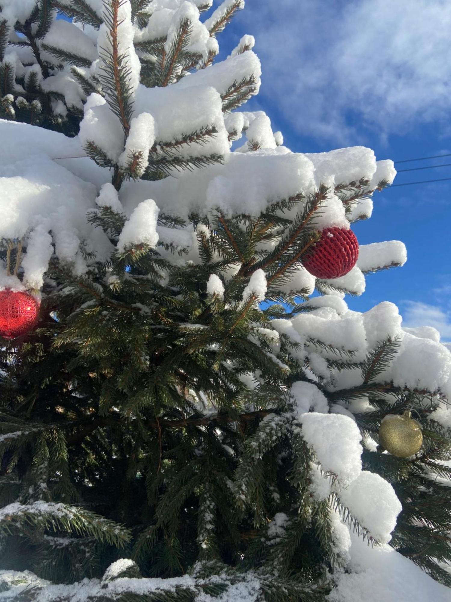 Karpats'Kyi Kalejdoskop Hotel Slavske Buitenkant foto